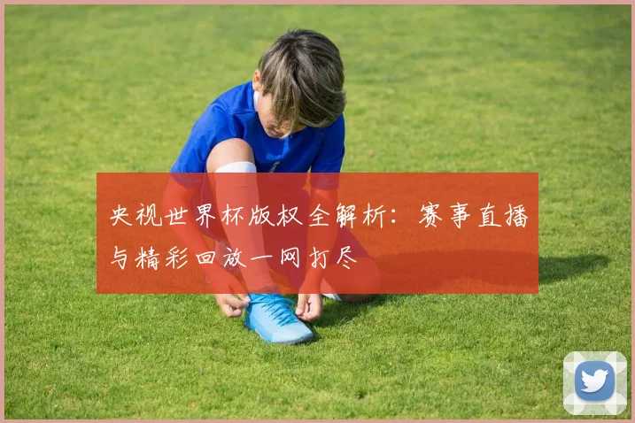 央视世界杯版权全解析：赛事直播与精彩回放一网打尽