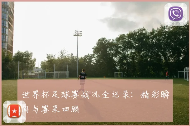 世界杯足球赛战况全记录：精彩瞬间与赛果回顾