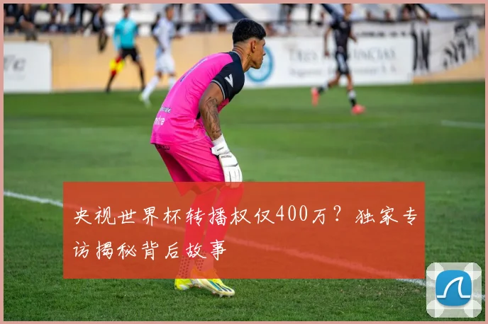 央视世界杯转播权仅400万？独家专访揭秘背后故事