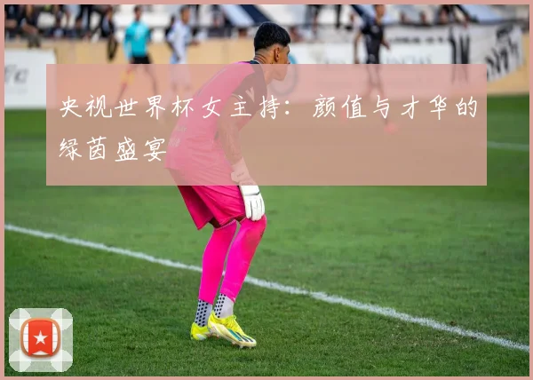 央视世界杯女主持：颜值与才华的绿茵盛宴