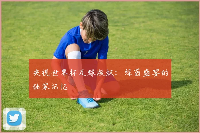 央视世界杯足球版权：绿茵盛宴的独家记忆