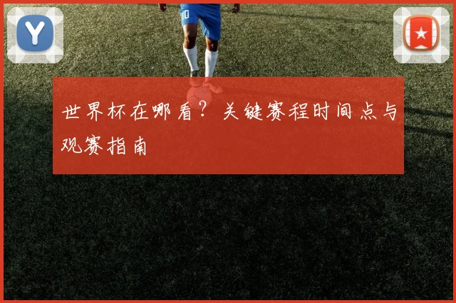世界杯在哪看？关键赛程时间点与观赛指南