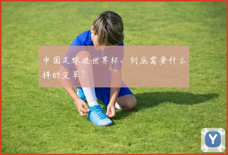 中国足球进世界杯，到底需要什么样的变革？