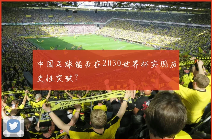 中国足球能否在2030世界杯实现历史性突破？