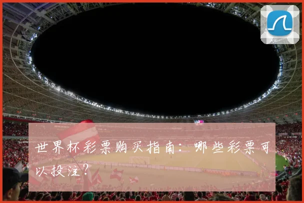 世界杯彩票购买指南：哪些彩票可以投注？