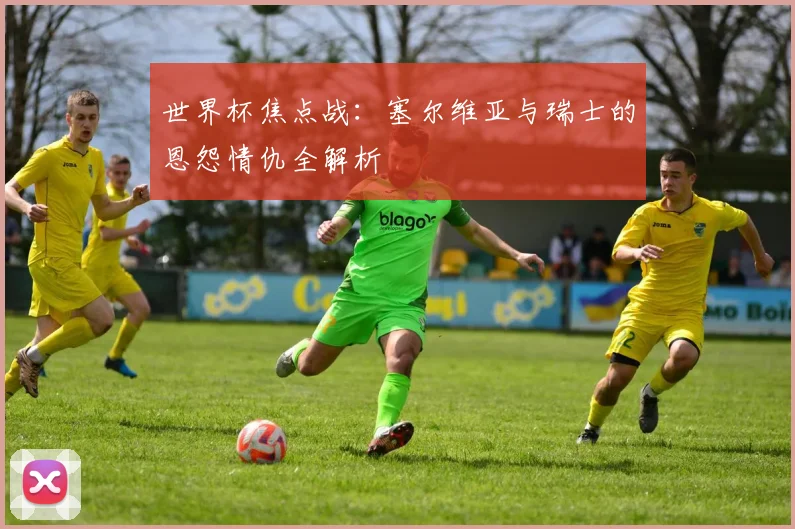 世界杯焦点战：塞尔维亚与瑞士的恩怨情仇全解析
