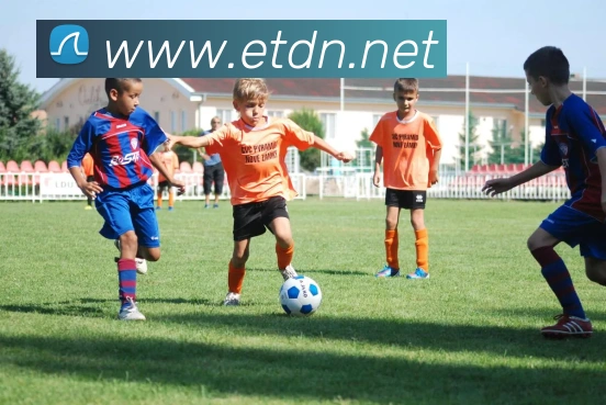 多媒体互动体验